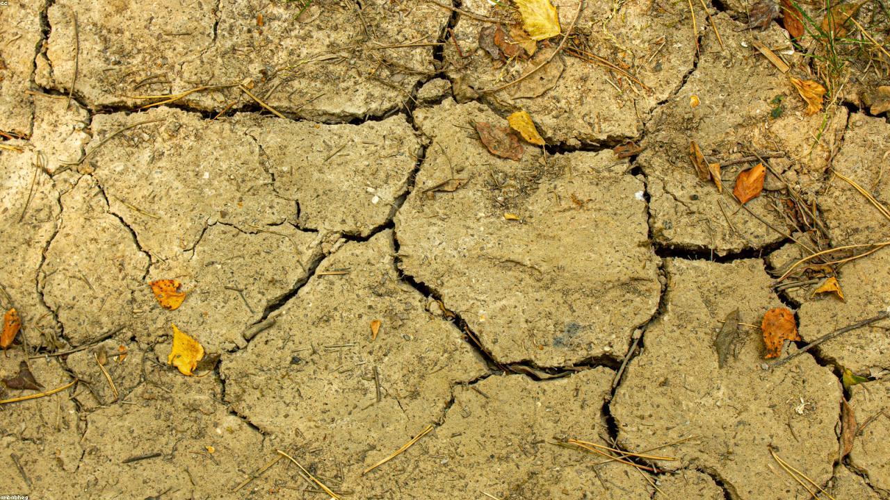 Editorial: habitar la sequía sin normalizarla
